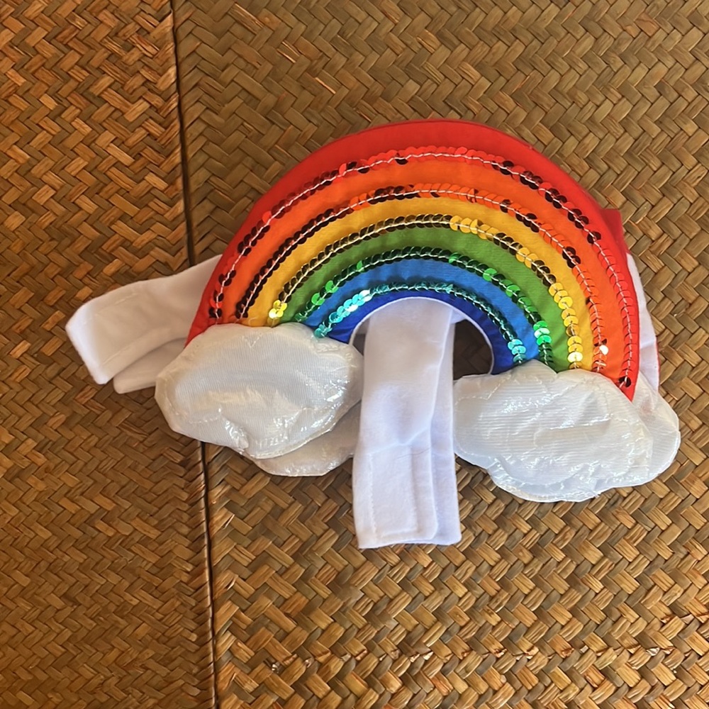 Brand new rainbow dog costume never worn bc my dog hates costumes. Size XS.